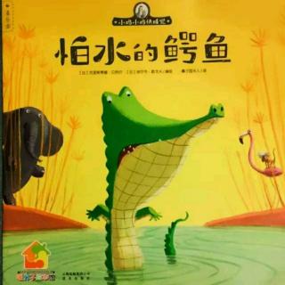 冯俊冯老师讲睡前故事《怕水的鳄鱼》