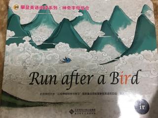 攀登字母组合ir-Run after a Bird