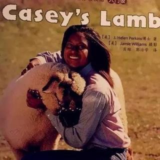 哈考特入门级---Casey's Lamb