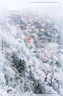 《初雪，一朵初心里的温柔》作者：郭文姝