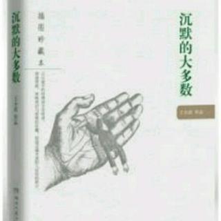 沉默的大多数〔六〕