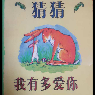 绘本《猜猜我有多爱你》