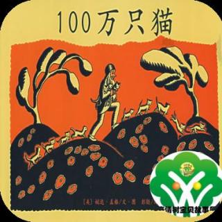 小美老师讲故事：100万只猫