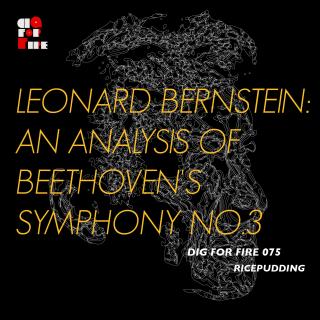 掘火电台075 Bernstein - Analysis of Beethoven No.3