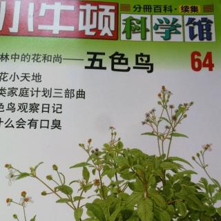 小牛顿科学馆64 五色鸟