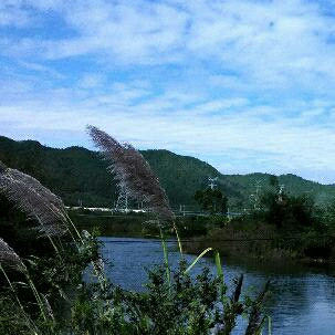 母亲的鸡毛嫁妆作者天不应