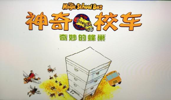 神奇的校车-奇妙的蜂巢