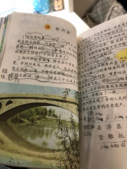 赵州桥课本图片