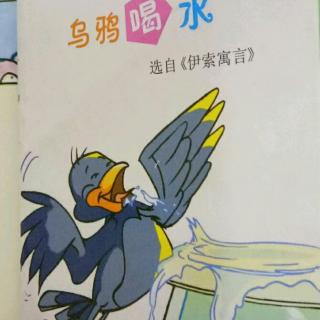 乌鸦喝水