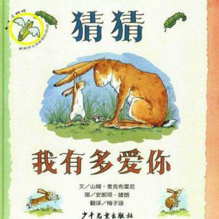 《猜猜我有多爱你》