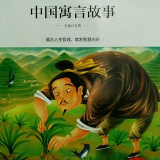 中国寓言故事--庖丁解牛