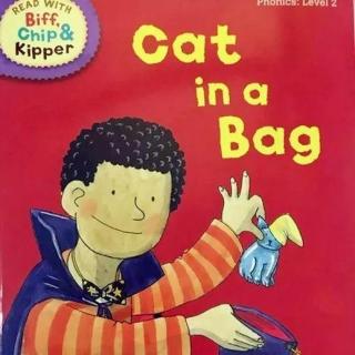牛津树分级阅读Level 2--Cat in the Bag