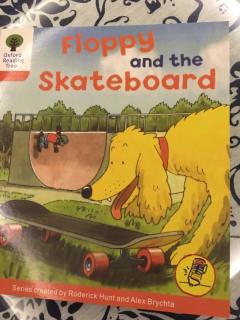 20171128 Oxford-Floopy and the skatebord