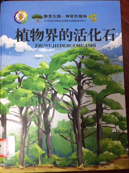 18号20171128 植物界的活化石