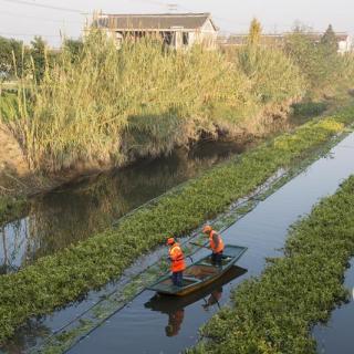 China destina 7.500 millones de dólares para protección ambiental