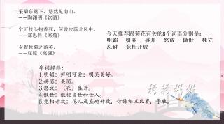 2017.11.30《菊花》