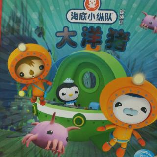 海底小纵队大洋猪