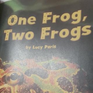 20171129 one frog, two frogs