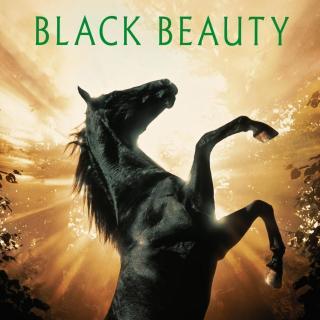 Track 08《黑骏马》《Black Beauty》