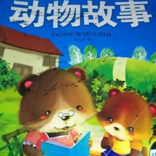 北极熊🐻漂流记（上）