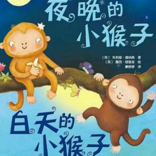 《夜晚的小猴子和白天的小猴子》