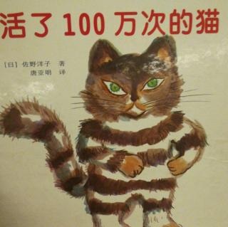 活了100万次的猫