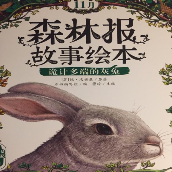 森林报故事绘本 诡计多端的灰兔