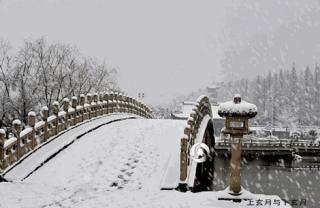 《等雪来，将我覆盖》叶下虫儿