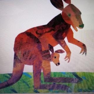 Does A Kangaroo Have A Mother, Too?