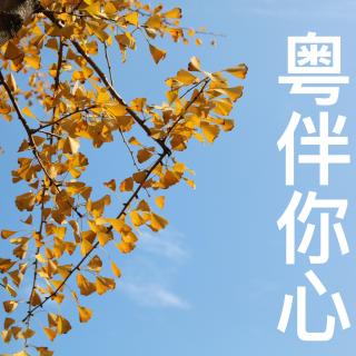 外语桥 ：粤伴你心