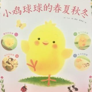 小鸡球球 春天 奇怪的捉迷藏游戏