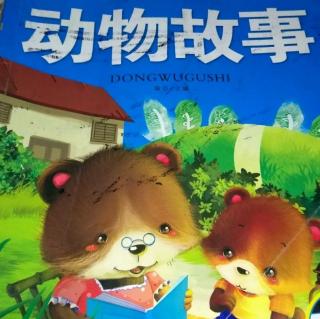 北极熊🐻漂流记（下）