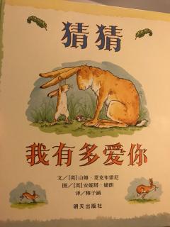 猜猜我有多爱你