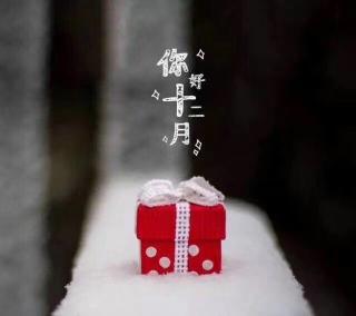 12月！遇见最美的你！