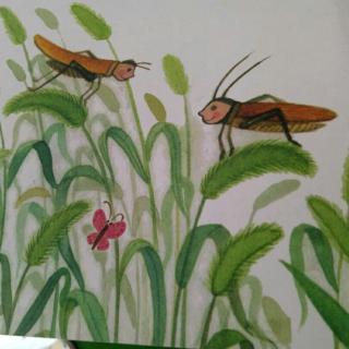 蚱蜢,蟋蟀和狗尾巴草