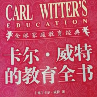 《卡尔威特的教育全书》第11章3.冷处理孩子的过错