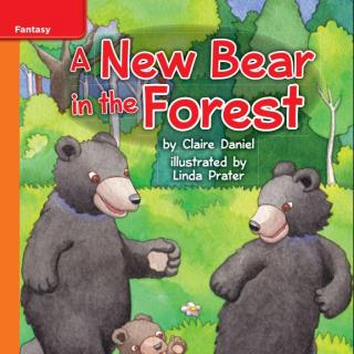 A New Bear in the Forest