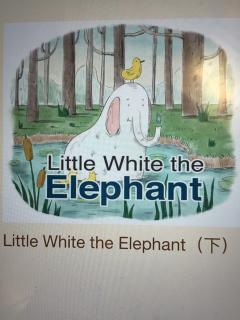 英文绘本～Little white the elephant