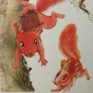 《科普童话——红色“降落伞”》