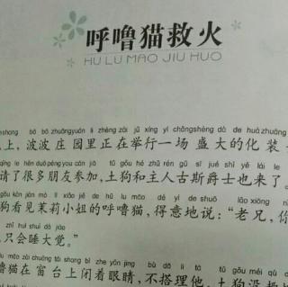 睡前故事《呼噜猫救火》