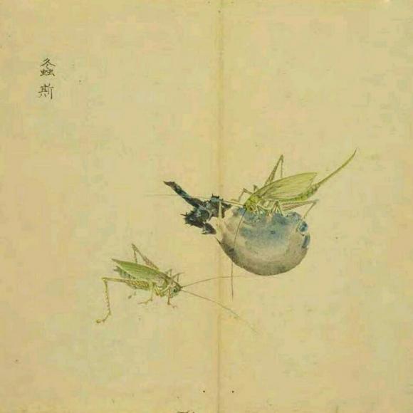 诗经 风篇 周南 螽斯