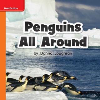 Penguins All Around