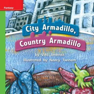 City Armadillo,Country Armadillo