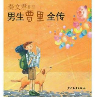 《秦文君系列儿童文学第一部》男生贾里全传（一）