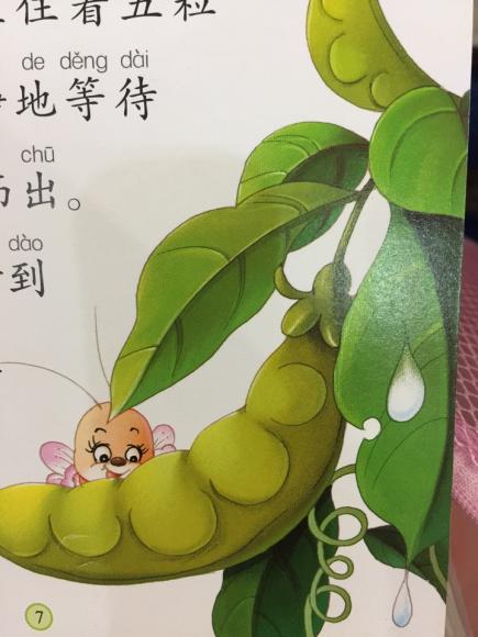 一粒豆荚里的五粒豌豆