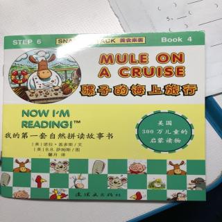 Mule on a cruise 骡子的海上旅行