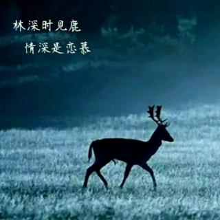 慕寒录音祝福——FirstSight音乐团体周年庆