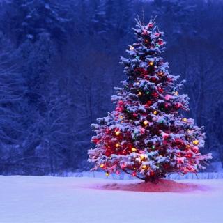 【20171203 音乐专场:圣诞前奏】在线收听_梦想家cullen的播客_荔枝fm