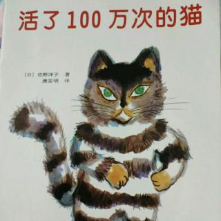 绘本故事《活了一百万次的猫 》―― 怀智妈妈