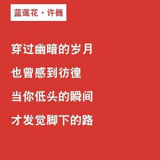 一辈子太长,只争朝夕